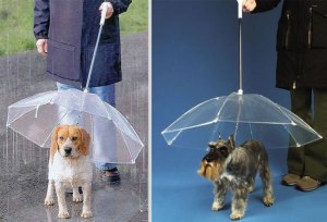 Umbrella for Dogs 