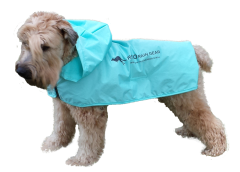 Dog wearing a Roo Rain Gear dog poncho. Rain wear for dogs. Rain gear for dogs. dog rain coat