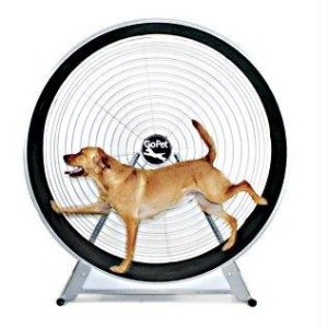 Dog Treadwheel. Roo Rain Gear RPET, dog rain poncho