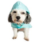 Dog Wearing Roo Rain Gear rain poncho for dogs, RPET dog product